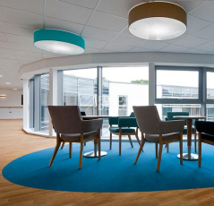 Forbo Flotex naturals 010036 american oak фото 2 | FLOORDEALER